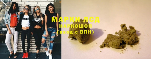 трава Магас