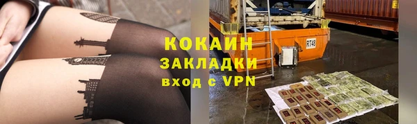 трава Магас